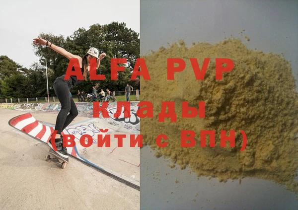 гашик Тында