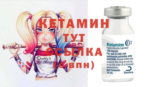 гашик Тында