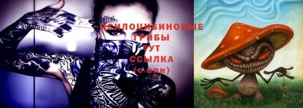 трава Туринск