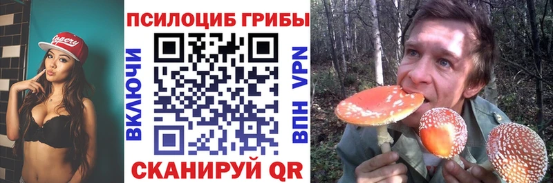 Купить где  Калуга  Галлюциногенные грибы мухоморы 